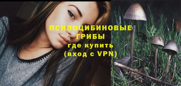 СК Володарск