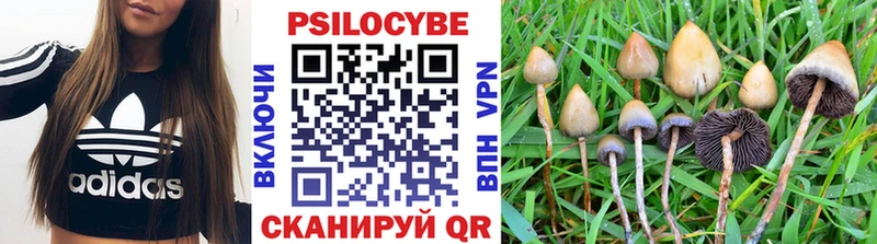 Галлюциногенные грибы MAGIC MUSHROOMS закладки Электрогорск